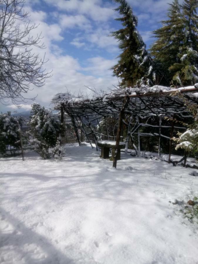 Casa Bartolacci Cozy Apartment Bivigliano المظهر الخارجي الصورة