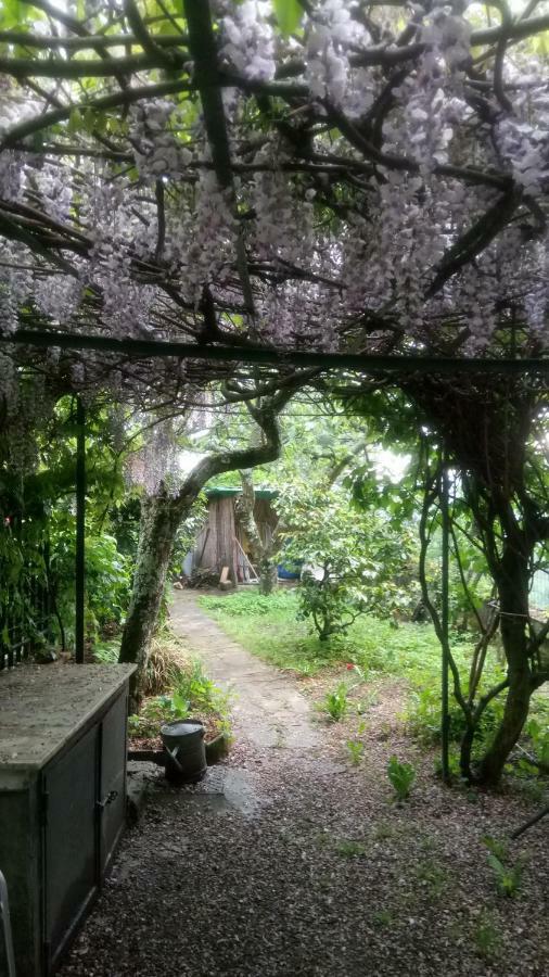 Casa Bartolacci Cozy Apartment Bivigliano المظهر الخارجي الصورة